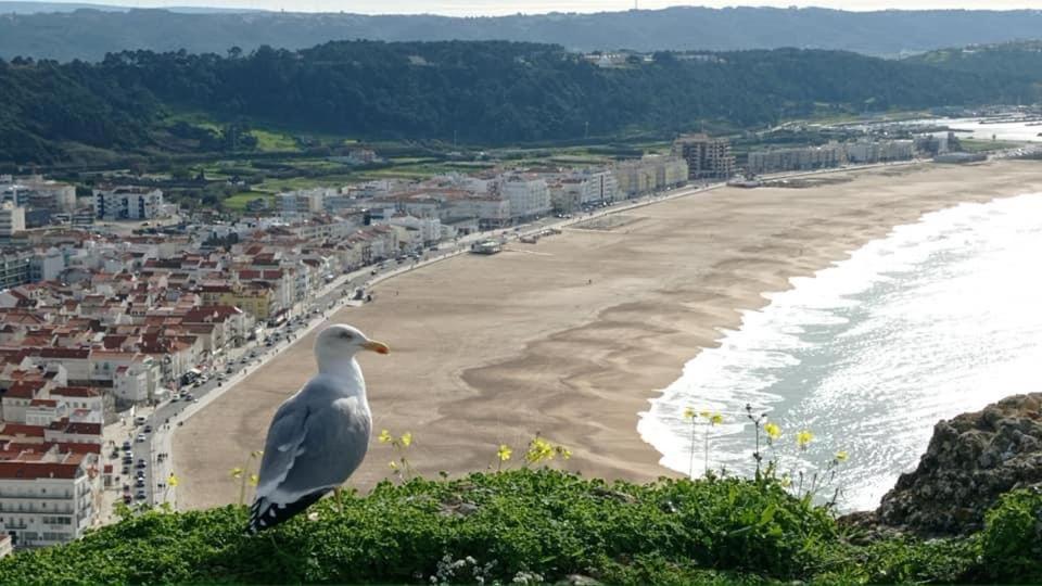 West Coast Dream Nazare Villa Bagian luar foto